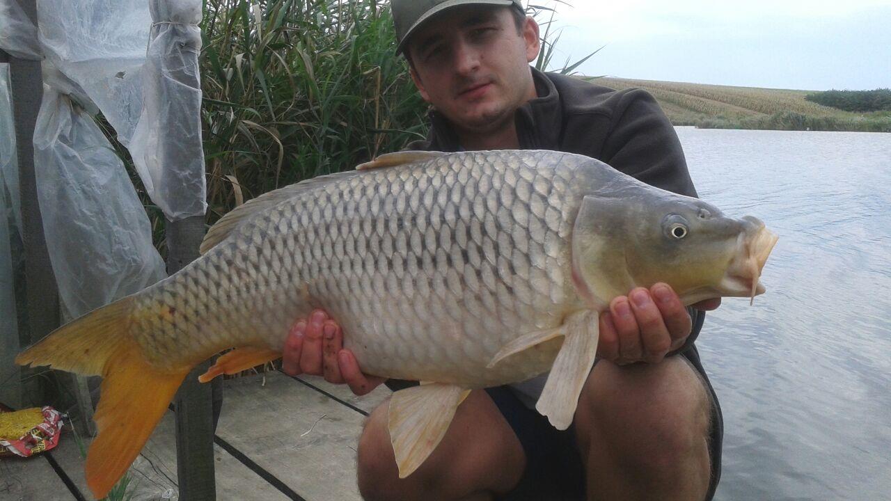 Magura 9 5 - 6 sep. - img-20140906-wa0016.jpg